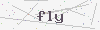 captcha:fly