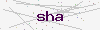captcha:sha