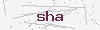 captcha:sha